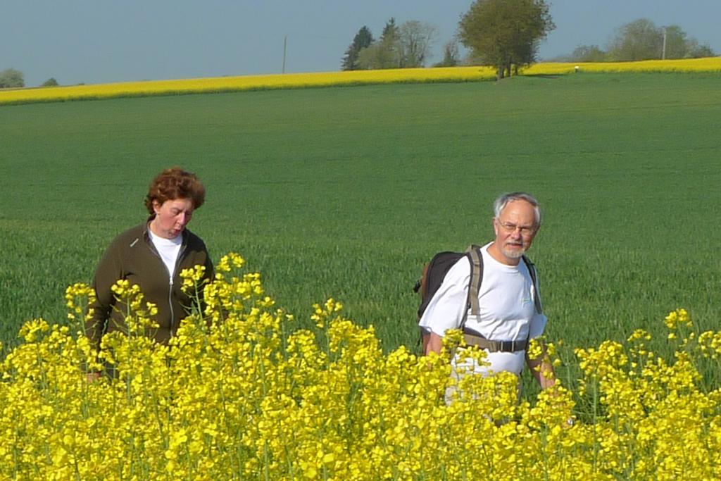 La Petite Varenne Turny Exterior foto